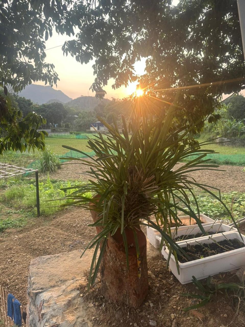 Peaceful Maichau Homestay Mai Châu Extérieur photo